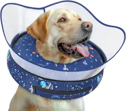 Inflatable Elevated Dog Cone Collar… — Photo 1