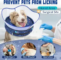 Inflatable Elevated Dog Cone Collar… — Photo 2
