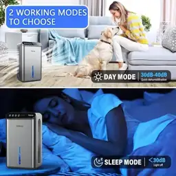 Basement Dehumidifier (85 oz, 800… — Photo 2