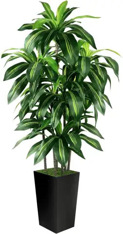 Artificial Dracaena Tree Indoor, 5FT… — Photo 1