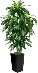 Artificial Dracaena Tree Indoor, 5FT… — Photo 1