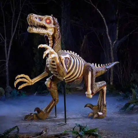 8 FT Long Grave &… — Photo 1