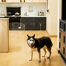 Clear Acrylic Freestanding Dog Gate… — Photo 2