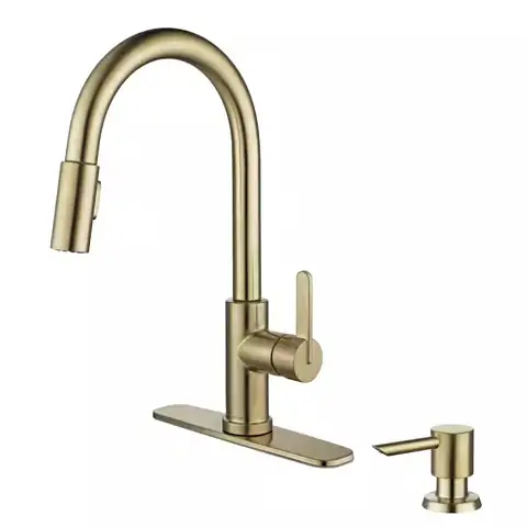Paulina Single-Handle Pull-Down Faucet with… — Photo 1