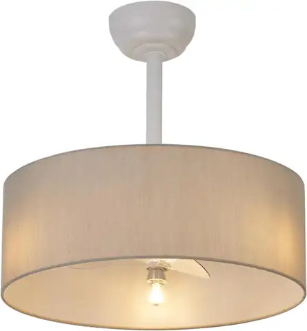 20-In Ceiling Fan with Lights… — Photo 1