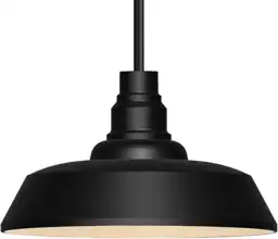 21" Black Pendant Light, Large… — Photo 1