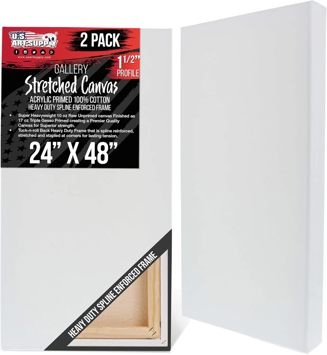 U.S. Art Supply 24"x48" Stretched… — Photo 1
