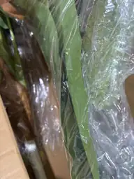 Artificial Banana Tree 6ft, Palm… — Photo 5