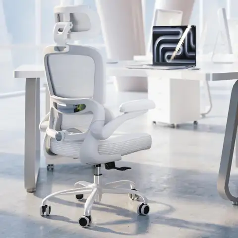 TRALT Office Chair Ergonomic Desk… — Photo 1