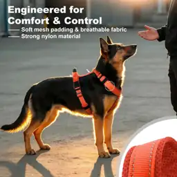 No Pull Dog Harness with… — Photo 2