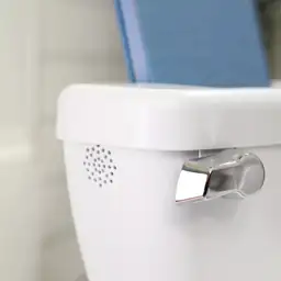 InGenuity My Size Potty Pro — Photo 1