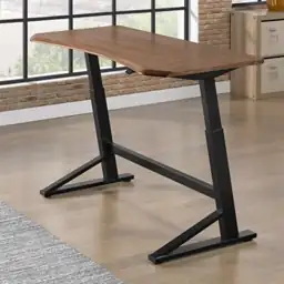 Teagan 60" Adjustable Height Desk — Photo 1