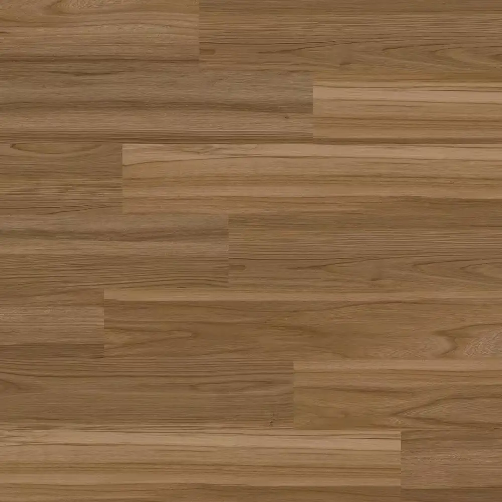 Clermont Elm 22 mil x… — Photo 1