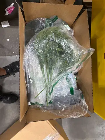 Amazon Mystery Box — Photo 1