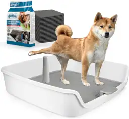 ALL FOR PAWS Pee Pad… — Photo 1