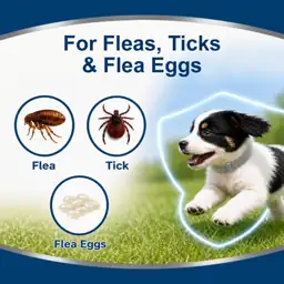 Flea Collar for Dogs Small,… — Photo 2