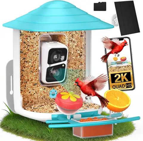 birdsnap TUC Bird Feeder with… — Photo 1
