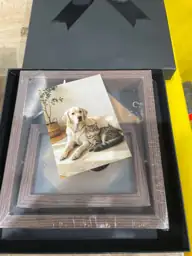 Dog Memorial Picture Frame, 4x6… — Photo 3