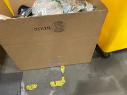 Amazon Mystery Box — Photo 1