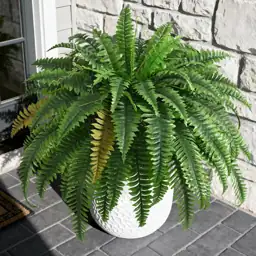2PCS 45in Fake Ferns: Large… — Photo 2