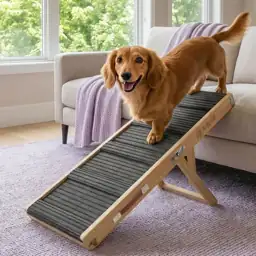 Dog Ramp for Small Dogs,… — Photo 1