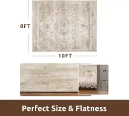 AMOAMI Area Rug 8ft x… — Photo 2