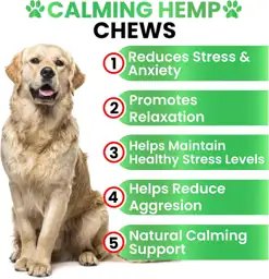 Hemp Calming Chews for Dogs… — Photo 2