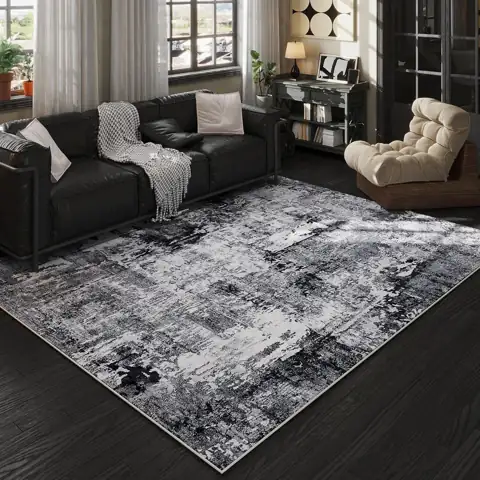 Rugcomf Area Rug 6x9 for… — Photo 1