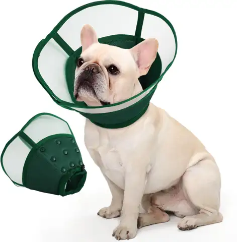 Allroaring Dog Cone Collar, Soft… — Photo 1