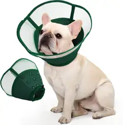 Allroaring Dog Cone Collar, Soft… — Photo 1