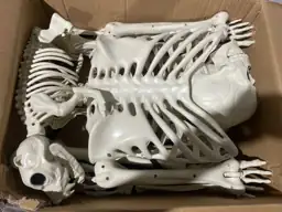 NEROSUN 5.4FT Halloween Skeletons, Posable… — Photo 3