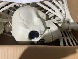 NEROSUN 5.4FT Halloween Skeletons, Posable… — Photo 4