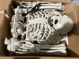NEROSUN 5.4FT Halloween Skeletons, Posable… — Photo 3