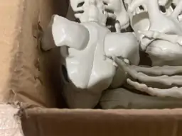 NEROSUN 5.4FT Halloween Skeletons, Posable… — Photo 4