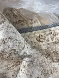 Indoor area rug | Triangle Liquidators