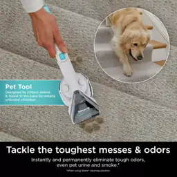 Shark Stainstriker Portable Carpet &… — Photo 2