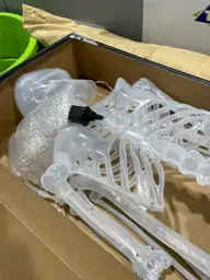 Pre lit skeleton — Photo 4