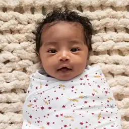 aden +anais Essentials x Harry… — Photo 2