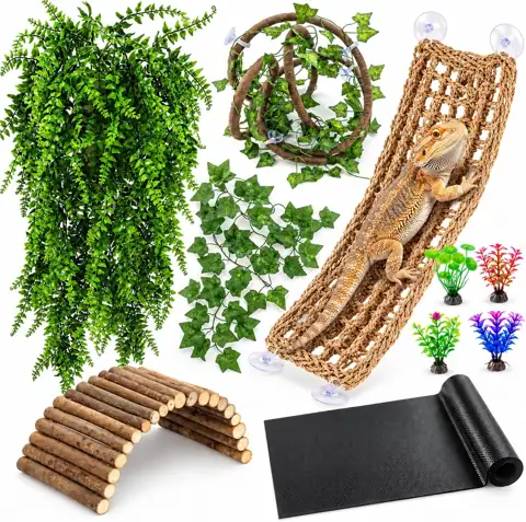 HERCOCCI Bearded Dragon Tank Accessories:… — Photo 1