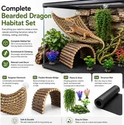 HERCOCCI Bearded Dragon Tank Accessories:… — Photo 2