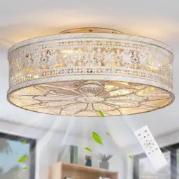 SHLUCE 18" Fandelier Low-Profile Ceiling… — Photo 1