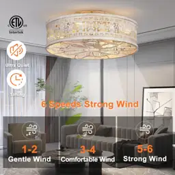 SHLUCE 18" Fandelier Low-Profile Ceiling… — Photo 2