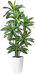 Artificial Dracaena Tree 5ft Tall… — Photo 1