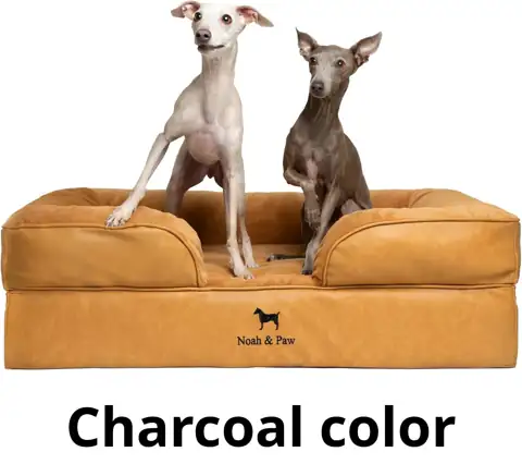 NOAH & PAW Dog Bed,… — Photo 1