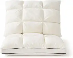 APSMILE Dual-Layer Puffy Goose Feather… — Photo 1