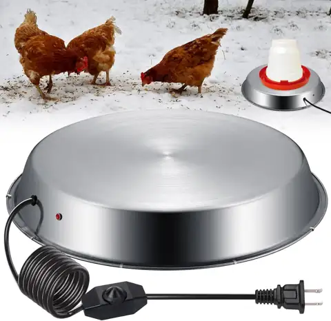 15" Metal Heated Chicken Waterer… — Photo 1