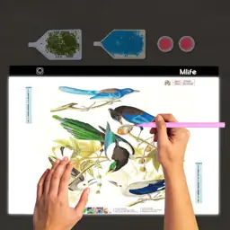 Mlife A2 LED Light Pad… — Photo 2