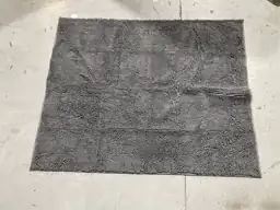 Dog Door Mat, 60x48, Absorbs… — Photo 3