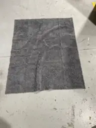 Dog Door Mat, 60x48, Absorbs… — Photo 3