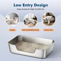 Qiuma XL Stainless Steel Cat… — Photo 2